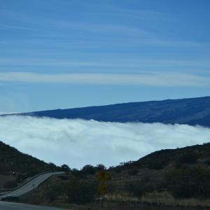 DSC 0444