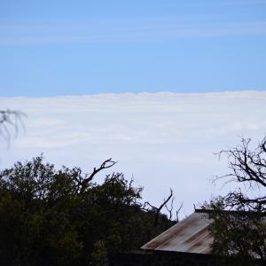 DSC 0456