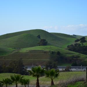 NikonD5100-2012-12-21-xmastreeVagarsroad