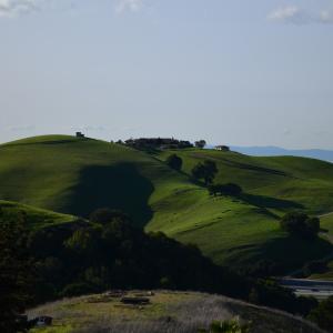 DSC 0073