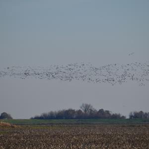 DSC 0027