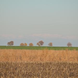 DSC 0116