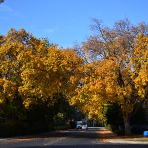 DSC 0166