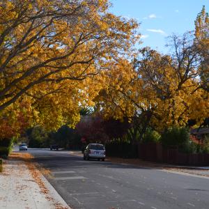 DSC 0167