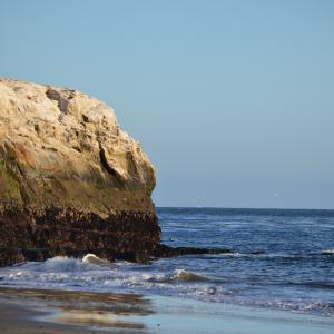 DSC 0251