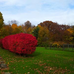20131105 112743 S Portage Path