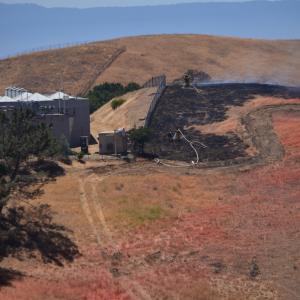 DSC 0084