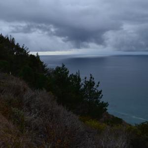 DSC 0188