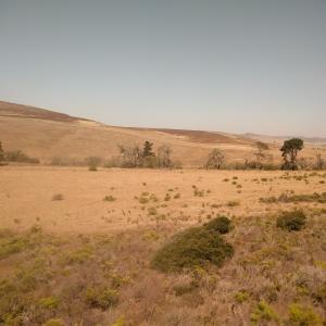 IMG 20160907 142659