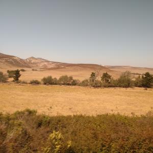 IMG 20160907 142729