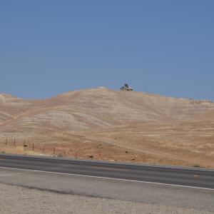 DSC 0254