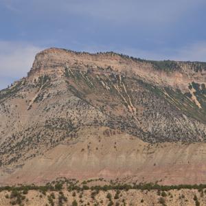 DSC 0379