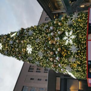christmastreeseattle20191202 161728